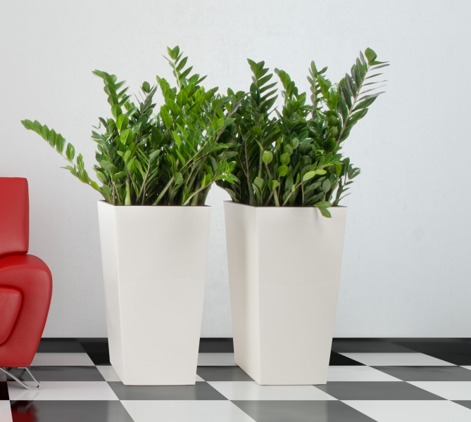 Кашпо напольное − красивый и стильный вариант вазона для растений