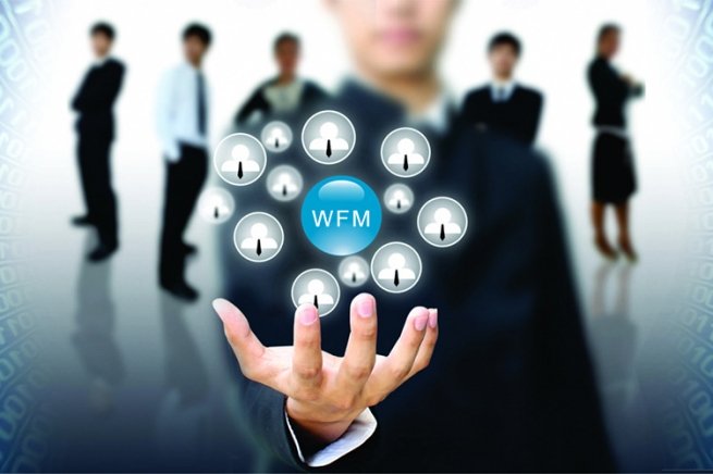 WFM cистема для оптимизации персонала
