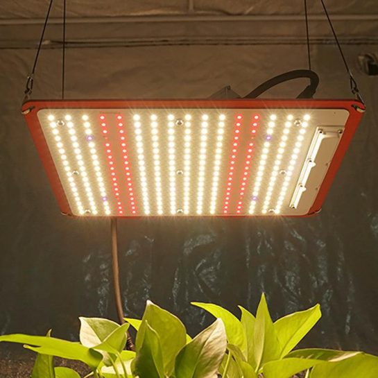 Светодиодные лампы для выращивания растений Quantum Board
