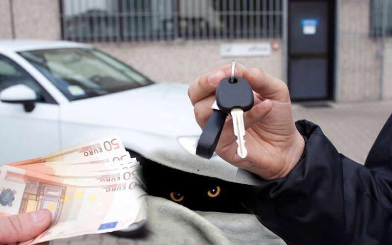 Правовые аспекты покупки подержанных автомобилей